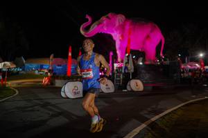 BIB: 
                            <button type="button" onclick="openModal(26552101)" class="btn btn-primary btn-sm float-right btn-popup" data-toggle="modal" data-target=".modal-high-quality">
                        <i class="fas fa-shopping-cart"></i> Add to Cart
                    </button>
                                            <button type="button" onclick="isThisMe(26552101, true)" class="btn btn-success btn-sm float-right btn-popup btn-isme hidden" data-toggle="tooltip" data-placement="bottom" title="นี่คือรูปของคุณใช่ไหม คลิกที่นี่เพื่อเอาเข้าอัลบั้ม">
                        <i class="fas fa-plus"></i> Add to album
                    </button>
                    <button type="button" onclick="isThisMe(26552101, false)" class="btn btn-warning btn-sm float-right btn-popup btn-isnotme hidden">
                        <i class="fas fa-ban"></i> Remove from album
                    </button>